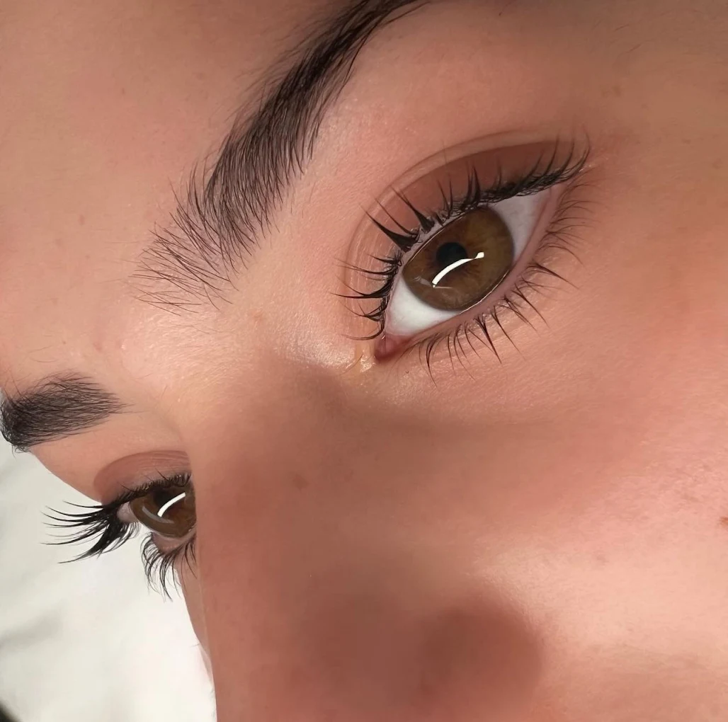 Brow and lash styling services Bentleigh East